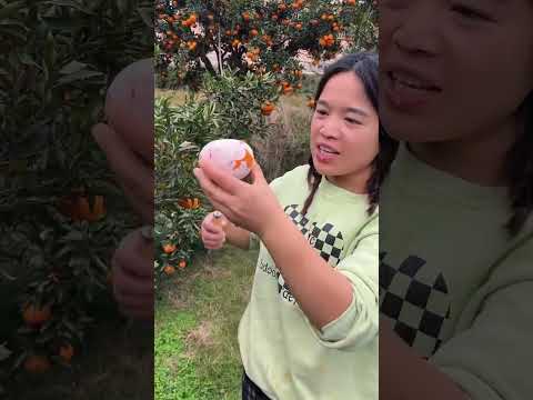 Fresh and juicy orange taste absolutely delicious