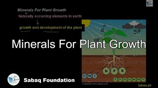 Minerals For Plant Growth