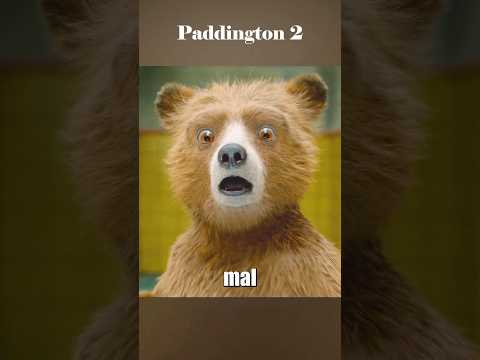 El oso se convirti贸 en el jefe de la prisi贸n. #peliculas #movie #shorts