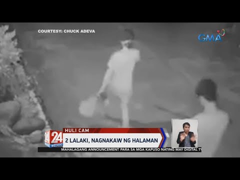 2 Lalaki, Nagnakaw Ng Halaman | Videos | GMA News Online