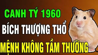 9 Bí Ẩn Tuổi Canh Tý 1960: Gieo Nhân Thiện Cả Đời – Hậu Vận Được Trời Đãi, Bỏ Qua Là Mất Phúc!
