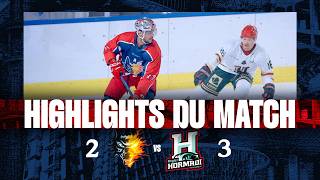 Highlights | Grenoble-Anglet | Amical