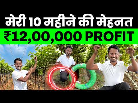 10 महीने में ₹12 लाख का PROFIT? 🍇💯Indian Farmer Grapes Farming Profit