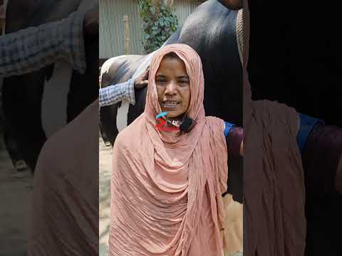 #reels #cow #real #viral video