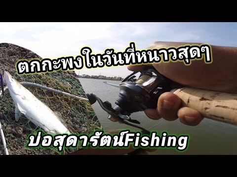 Ep232ตกกะพงบุพเฟ่บ่อสุดารัตน๋Fishingในวันที่อากาศหนาวสุดๆคนย