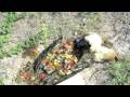 Understanding Plastic Waste and Its Impact
