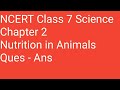 Human Digestion and Nutrition Concepts