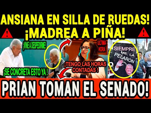 ARDE EL SENADO ¡SE LE CAYO SHOW A PIÑA! ANCIANA EN SILLA DE RUEDAS DEFIENDE A AMLO!