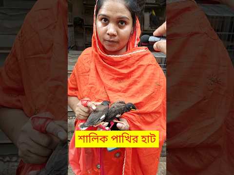 শালিক পাখির হাট বাজার | শালিক পাখি | Salik Pakhi | শালিক পাখির বাচ্চা | শালিক পাখির দাম কত #shorts