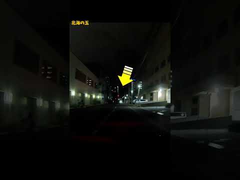 これが職質専門部隊、自ら隊の尾行からの顔パスヌルー!職質指導班かな? #札幌 #職質 #顔パス