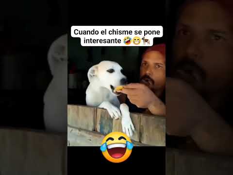 El chicle está bueno 😅😅😅