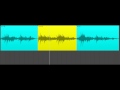 Understanding the Transcript