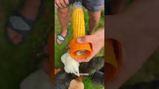Faster way to peel your corn! 🌽