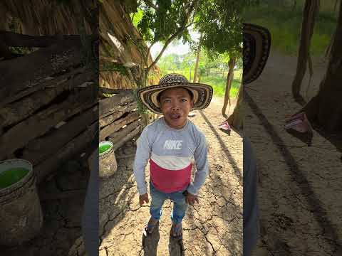 El oso me descuida los cerdos por eso es que se ponen flacos 😒😒😒 #campo