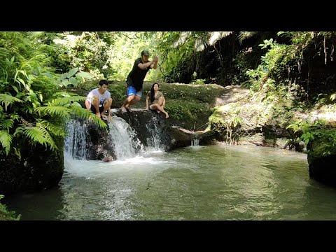 Bonne Riviere Nature Farm Resort