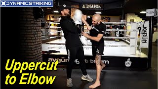 Uppercut to Elbow by Dave Leduc
