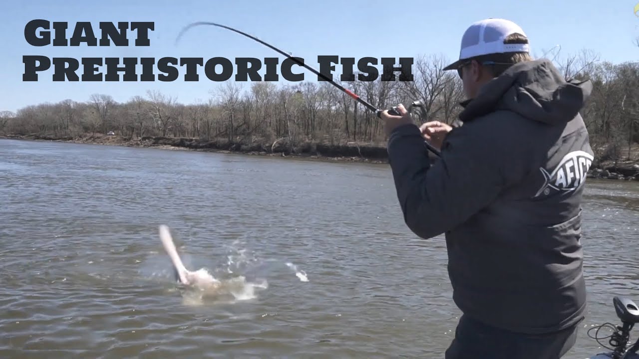 Catching GIANT PREHISTORIC FISH!