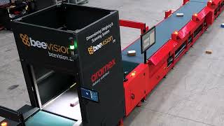 High-Speed Modular Sorter System - BeeSort