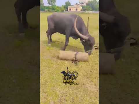#नाद
