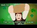 Irish Potato Famine: Key Concepts