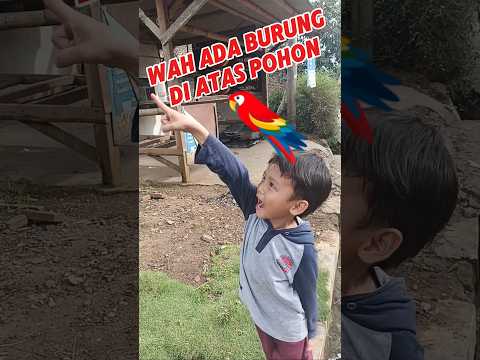 BAGAS LIHAT BURUNG #trendingshorts