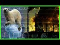 Climate Change and Its Impacts