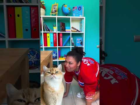 Tantangan Lempar Permen dengan Teman! 🍬 Siapa yang Bisa Menangkapnya?! 😋⚡