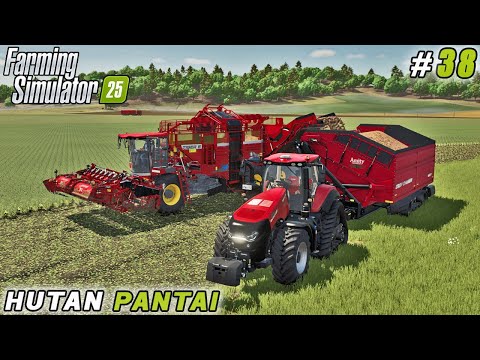 Mastering Livestock Feed Production &  Start Beet Harvesting! | FS 25 | Hutan Pantai Farm | ep #38