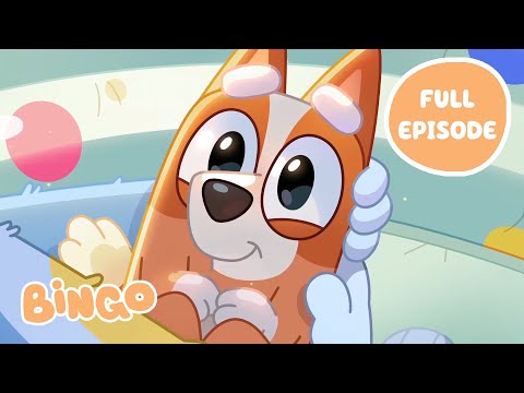 Baby Bingo 🥺 🧡 | Dad Baby - Bluey Full Episode | Bingo - Official Channel