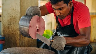 WOW 🤩 Incredible Tuna Cutting Skills | Satisfying Fish Cutting ASMR | Skipjack Tuna Mastery