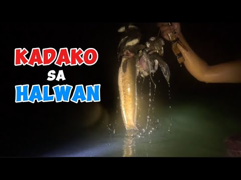 Catch and Cook Adventure EPISODE 92 - KADAKO SA HALWAN