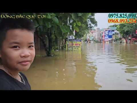 Mưa lũ kinh hoàng - ngập hết nhà không có chỗ ở ,không điện ,không nước sạch - đông bắc quê tôi