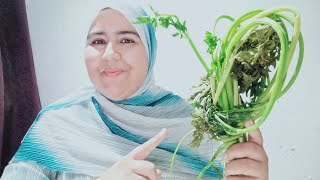 مشروبات هامة لمرضى السكري و الكوليسترول في الصيف ولاعياد المناسبات لتنظيف الجسم و تنحيف للدهون