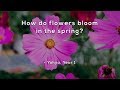 Understanding Flowers and Plant Movement