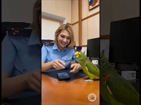 Ревнивый попугай на службе 😆🦜
