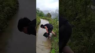 #topgamedoithuonguytin nhặt ốc ruộng