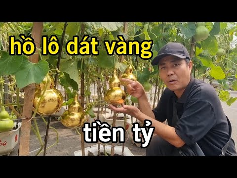 Độc lạ hồ lô dát vàng tiền tỷ trên hè phố Sài Gòn