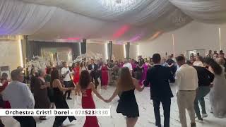 Cristi Dorel - Foaie verde 5 chiperi | Live 2025