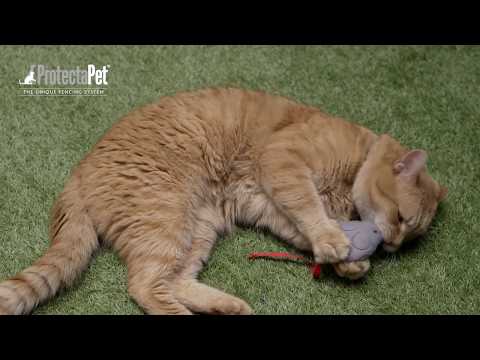 StreetCat Bob & James Bowen Demo New Catio (Cat Enclosure) by ProtectaPet