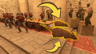 CS 2'DE BU HARİTAYA GEÇMEK İMKANSIZ ! FARE SALDIRIYOR !
