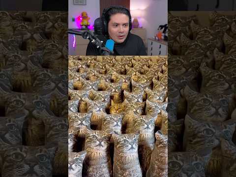 EL PODER DEL CAMUFLAJE!!