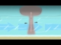 Understanding Rip Currents and Safety