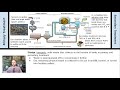 Sewage Treatment Processes and Challenges