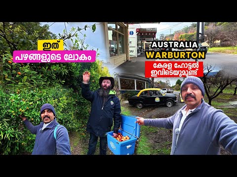 പഴങ്ങളുടെ ലോകം Warburton ഇവിടെ ഒരു കേരള ഹോട്ടൽ ഉണ്ട്