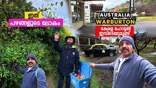 പഴങ്ങളുടെ ലോകം Warburton ഇവിടെ ഒരു കേരള ഹോട്ടൽ ഉണ്ട്