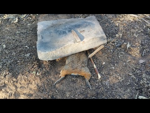 MELHOR ARMADILHA DE SOBREVIVÊNCIA TESTADO E APROVADO