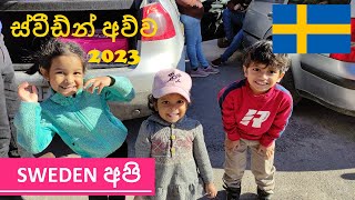 Sweden අව්ව ~ පලවෙනි අව්ව 2023 ~ Mr. Golden Sun, Please shine down on me