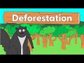 Biodiversity and Deforestation Concepts