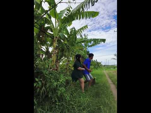 Daily life of a couple ๐คฃ๐คฃ๐๐๐