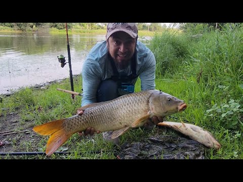 Esperando el GRAN pique Pesca GIGANTE, mucha ACCION!!